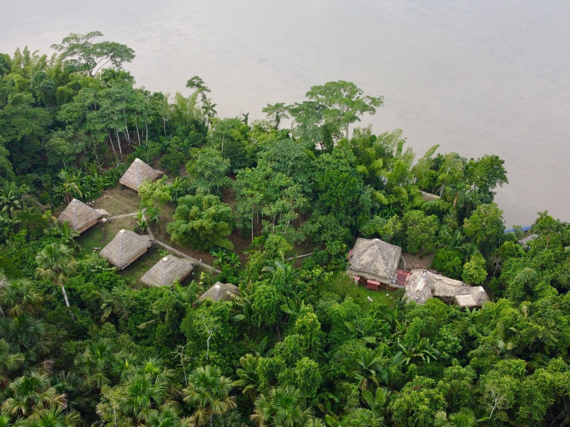 Vista aérea de las cabañas con techo de paja de Sinchi Wayra integradas en la selva amazónica de Ecuador.